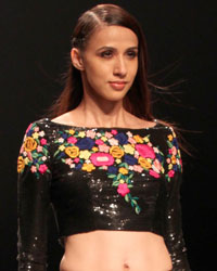 Reynu Taandon Show at WIFW SS 2015