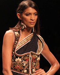 Reynu Taandon Show at Wills India Fashion Week Spring Summer 2015