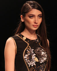 Reynu Taandon Show at Wills India Fashion Week Spring Summer 2015