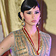 Shane-Falguni Show at Shehnaai 2011