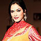 Shyamal Bhunika's new Durbar Collection