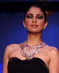 Sumit Sawhney Show at IIJW 2014