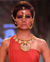 Sumit Sawhney Show at IIJW 2014