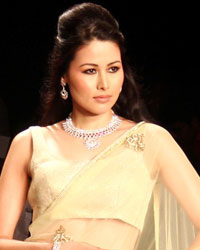 Surya Golds and Swarovski Show at IIJW 2014