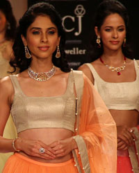 Surya Golds and Swarovski Show at IIJW 2014