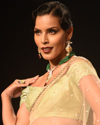 Suryagold and Swaroski Gemstones Show at IIJW