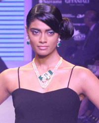 Suryagold and Swaroski Gemstones Show at IIJW