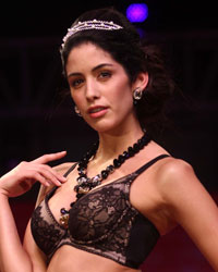 Triumph Lingerie Fashion Show 2014