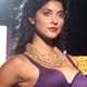 India Brand Show and Triumph lingerie show