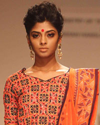 Vaishali S Show at LFW 2014