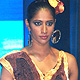 International Institute of Fashion Design's (INIFD) Annual Fashion Festival, Vibrance-2011