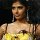 A model presents a creation from Indian designers Falguni and Shane Peacock`s Spring/Summer 2009 collection