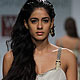 Wills Lifestyle India Fashion Week 2010