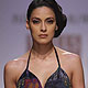 Wills Lifestyle India Fashion Week 2010