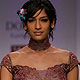 Wills Lifestyle India Fashion Week 2010