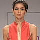 Wills Lifestyle India Fashion Week 2010