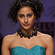 Wills Lifestyle India Fashion Week 2010