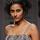 Wills Lifestyle India Fashion Week 2010