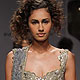 Wills Lifestyle India Fashion Week 2010