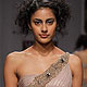 Wills Lifestyle India Fashion Week 2010