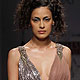 Wills Lifestyle India Fashion Week 2010