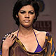 Wills Lifestyle India Fashion Week 2010