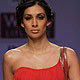 Wills Lifestyle India Fashion Week 2010