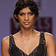 Wills Lifestyle India Fashion Week 2010