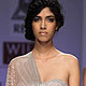 Wills Lifestyle India Fashion Week 2010