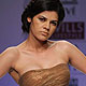 Wills Lifestyle India Fashion Week 2010