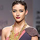 Wills Lifestyle India Fashion Week 2010