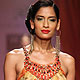 Wills Lifestyle India Fashion Week 2010