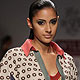 Wills Lifestyle India Fashion Week 2010