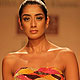 Wills Lifestyle India Fashion Week 2010