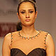 Wills Lifestyle India Fashion Week 2010