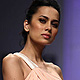 Wills Lifestyle India Fashion Week Spring Summer 2012