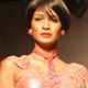 Best of Delhi Wills Fashion Week