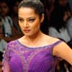 Celina Jaitley presents a creation Khushali Kumar