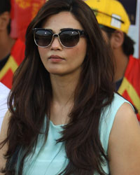 Daisy Shah at CCL5 Telugu Warriors vs Chennai Rhinos