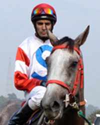 The Goolagong Cup 2014