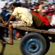 Kila Raipur Rural Olympics