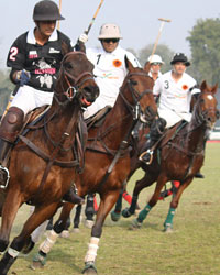 Northern India Polo Championship 2014