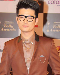 Meiyang Chang Meiyang Chang