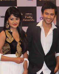 Indian Telly Awards 2014 Indian Telly Awards 2014