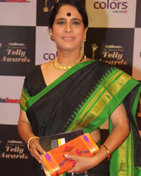 Indian Telly Awards 2014 Indian Telly Awards 2014