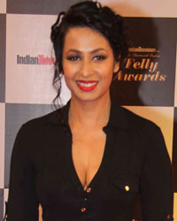 Kashmira Shah at Indian Telly Awards 2014