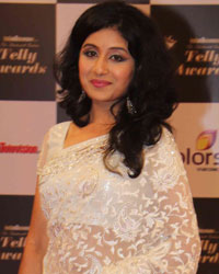 Indian Telly Awards 2014 Indian Telly Awards 2014