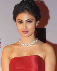 Mouni Roy at Television Style Awards 2015