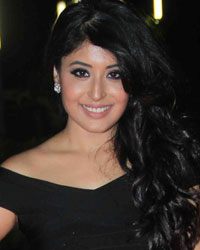 Kritika Kamra at Television Style Awards 2015