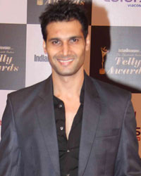 Indian Telly Awards 2014